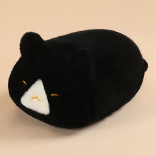 Load image into Gallery viewer, Black and White Cat Pillow - Sleepy Plush Fat Cat Loaf-black white cat cq-about 45cm-1