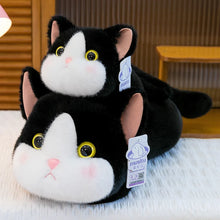 Load image into Gallery viewer, Black and White Cat Plush Toy and Pillow - Cute Pink Cheeks Tuxedo Cat Snuggler-3