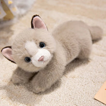 Load image into Gallery viewer, Black and White Cat Plush Toy - Curious Kitty Black and White Cat-Stuffed Animals-Black and White Cat,Cat Memorial Gifts,Stuffed Animal-3