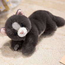 Load image into Gallery viewer, Black and White Cat Plush Toy - Curious Kitty Black and White Cat-Stuffed Animals-Black and White Cat,Cat Memorial Gifts,Stuffed Animal-5