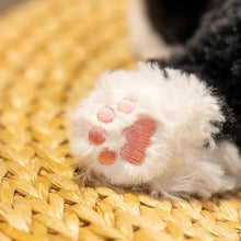 Load image into Gallery viewer, Black and White Cat Plush Toys - Furry Texture - Sitting and Belly Flop Design-15