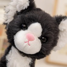 Load image into Gallery viewer, Black and White Cat Plush Toys - Furry Texture - Sitting and Belly Flop Design-22