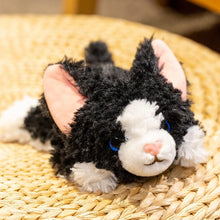 Load image into Gallery viewer, Black and White Cat Plush Toys - Furry Texture - Sitting and Belly Flop Design-Down-25cm-32