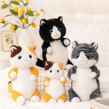Load image into Gallery viewer, Black and White Cat Soft Plush Toy - Precious Sparkle-Eyed Kitty-3
