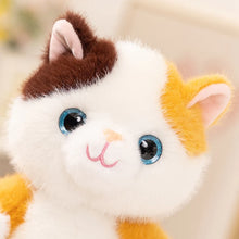 Load image into Gallery viewer, Black and White Cat Soft Plush Toy - Precious Sparkle-Eyed Kitty-4