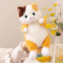Load image into Gallery viewer, Black and White Cat Soft Plush Toy - Precious Sparkle-Eyed Kitty-5