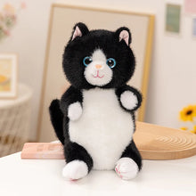 Load image into Gallery viewer, Black and White Cat Soft Plush Toy - Precious Sparkle-Eyed Kitty-black-30cm-1