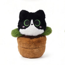 Load image into Gallery viewer, Black and White Cat Soft Toy - Darling Spring Time Bloom-black white catplant-about 25cm-1