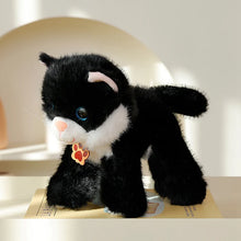 Load image into Gallery viewer, Black and White Cat Stuffed Animal - Standing with Blue Eyes and Paw Print Tag-Black cat-20x20cm-1