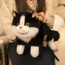 Load image into Gallery viewer, Realistic Black and White British Shorthair Cat Stuffed Animal - Belly Flop Pose-Stuffed Animals-Black and White Cat,British Shorthair Cat,Cat Memorial Gifts,Cats,Stuffed Animal-4