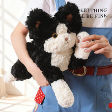 Load image into Gallery viewer, Black and White Cat Stuffy - Curly Coat Cuddler-13