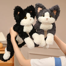 Load image into Gallery viewer, Black and White Cat Stuffy - Curly Coat Cuddler-2