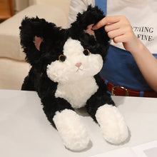 Load image into Gallery viewer, Black and White Cat Stuffy - Curly Coat Cuddler-3