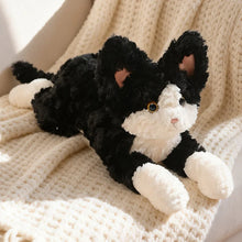 Load image into Gallery viewer, Black and White Cat Stuffy - Curly Coat Cuddler-9