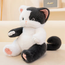 Load image into Gallery viewer, Black and White Cow Cat Plush Toy - Adorable Sitting Design-4