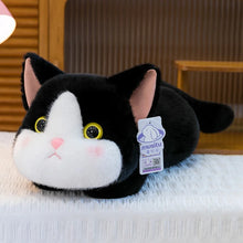 Load image into Gallery viewer, Black and White Cow Cat Plush Toy - Big-Eye Belly Flop Chibi Design-Cow cat-45cm-1