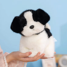 Load image into Gallery viewer, Black and White Havanese Plush Toy - Adorable Havanese Head Tilt-11