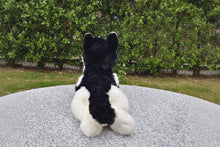 Load image into Gallery viewer, A black and white husky plush dog toy sitting on a round gray stone surface with a green hedge in the background. 