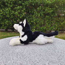 Load image into Gallery viewer, Black and white husky plush toy lying on a concrete surface with greenery in the background.