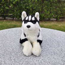 Load image into Gallery viewer, A plush toy dog with a black and white husky design, sitting on a gray stone surface with a green garden background.