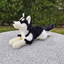 Load image into Gallery viewer, A black and white plush husky dog toy lying on a round gray stone surface outdoors, with green bushes in the background.