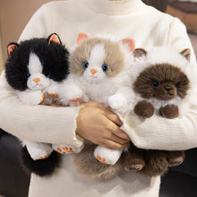 Load image into Gallery viewer, Black and White Persian Cat Plush Toy - Sitting with Blue Eyes-4