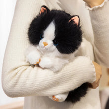 Load image into Gallery viewer, Black and White Persian Cat Plush Toy - Sitting with Blue Eyes-8