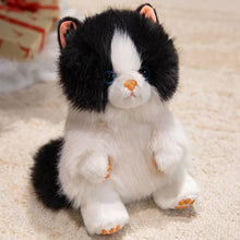 Load image into Gallery viewer, Black and White Persian Cat Plush Toy - Sitting with Blue Eyes-Black cat-25cm-1