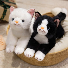 Load image into Gallery viewer, Black and White Tuxedo Cat Stuffed Animal Plush Toy - Belly Flop Design-2