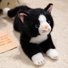 Load image into Gallery viewer, Black and White Tuxedo Cat Stuffed Animal Plush Toy - Belly Flop Design-black-38cm-1