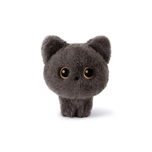 Load image into Gallery viewer, Black Cat Soft Toy - Small - Pocket Purr Mini Plush Toy-Black cat-18cm-1