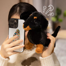 Load image into Gallery viewer, Black &amp; Tan Dachshund Plush - Sweet Wiener Pup-5
