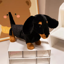 Load image into Gallery viewer, Black &amp; Tan Dachshund Plush - Sweet Wiener Pup-black dog 27cm-see choose option-1
