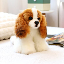 Load image into Gallery viewer, Blenheim Cavalier King Charles Spaniel Stuffed Animal Plush Toy-20cm-Brown-7