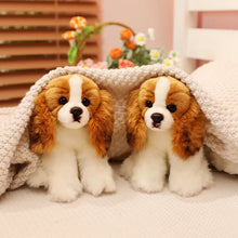 Load image into Gallery viewer, Blenheim Cavalier King Charles Spaniel Stuffed Animal Plush Toy-2