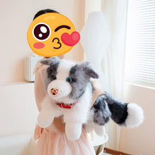Load image into Gallery viewer, Realistic Border Collie Stuffed Animal Plush Toy - 4 Coat Colors-Stuffed Animals-Border Collie,Dog Memorial Gifts,Stuffed Animal-6