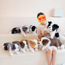 Load image into Gallery viewer, Realistic Border Collie Stuffed Animal Plush Toy - 4 Coat Colors-Stuffed Animals-Border Collie,Dog Memorial Gifts,Stuffed Animal-1