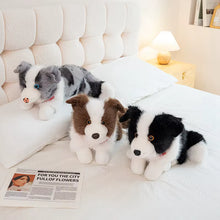 Load image into Gallery viewer, Realistic Border Collie Stuffed Animal Plush Toy - 4 Coat Colors-Stuffed Animals-Border Collie,Dog Memorial Gifts,Stuffed Animal-1