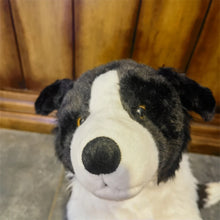 Load image into Gallery viewer, Border Collie Plush Toy - Adorable Black and White Border Collie-2