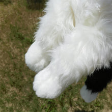 Load image into Gallery viewer, Border Collie Plush Toy - Adorable Black and White Border Collie-5