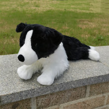 Load image into Gallery viewer, Border Collie Plush Toy - Adorable Black and White Border Collie-7