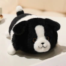 Load image into Gallery viewer, Border Collie Plush Toy - Adorable Plumpy Small Belly Flop Border Collie-Border Collie xx-about 20-22cm-1