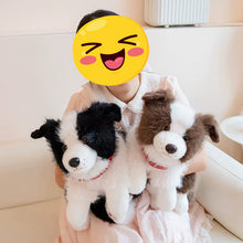 Load image into Gallery viewer, Realistic Border Collie Stuffed Animal Plush Toy - 4 Coat Colors-Stuffed Animals-Border Collie,Dog Memorial Gifts,Stuffed Animal-3
