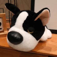 Load image into Gallery viewer, Boston Terrier Plush Toy - Sleepy Big Nose Baby-15