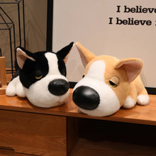 Load image into Gallery viewer, Boston Terrier Plush Toy - Sleepy Big Nose Baby-2