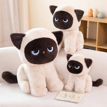Load image into Gallery viewer, Brown and White Grumpy Siamese Cat Plushie - Sitting with Blue Eyes-4