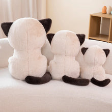 Load image into Gallery viewer, Brown and White Grumpy Siamese Cat Plushie - Sitting with Blue Eyes-5