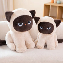 Load image into Gallery viewer, Brown and White Grumpy Siamese Cat Plushie - Sitting with Blue Eyes-7