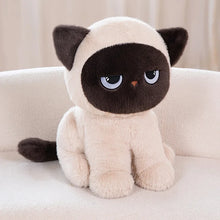 Load image into Gallery viewer, Brown and White Grumpy Siamese Cat Plushie - Sitting with Blue Eyes-Ragdoll Cat-60cm-1