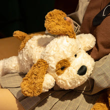 Load image into Gallery viewer, Brown Eye Patch Spaniel Water Dog Stuffed Animal Plush Toys-Stuffed Animals-Dog Memorial Gifts,Spanish Water Dog,Stuffed Animal-3